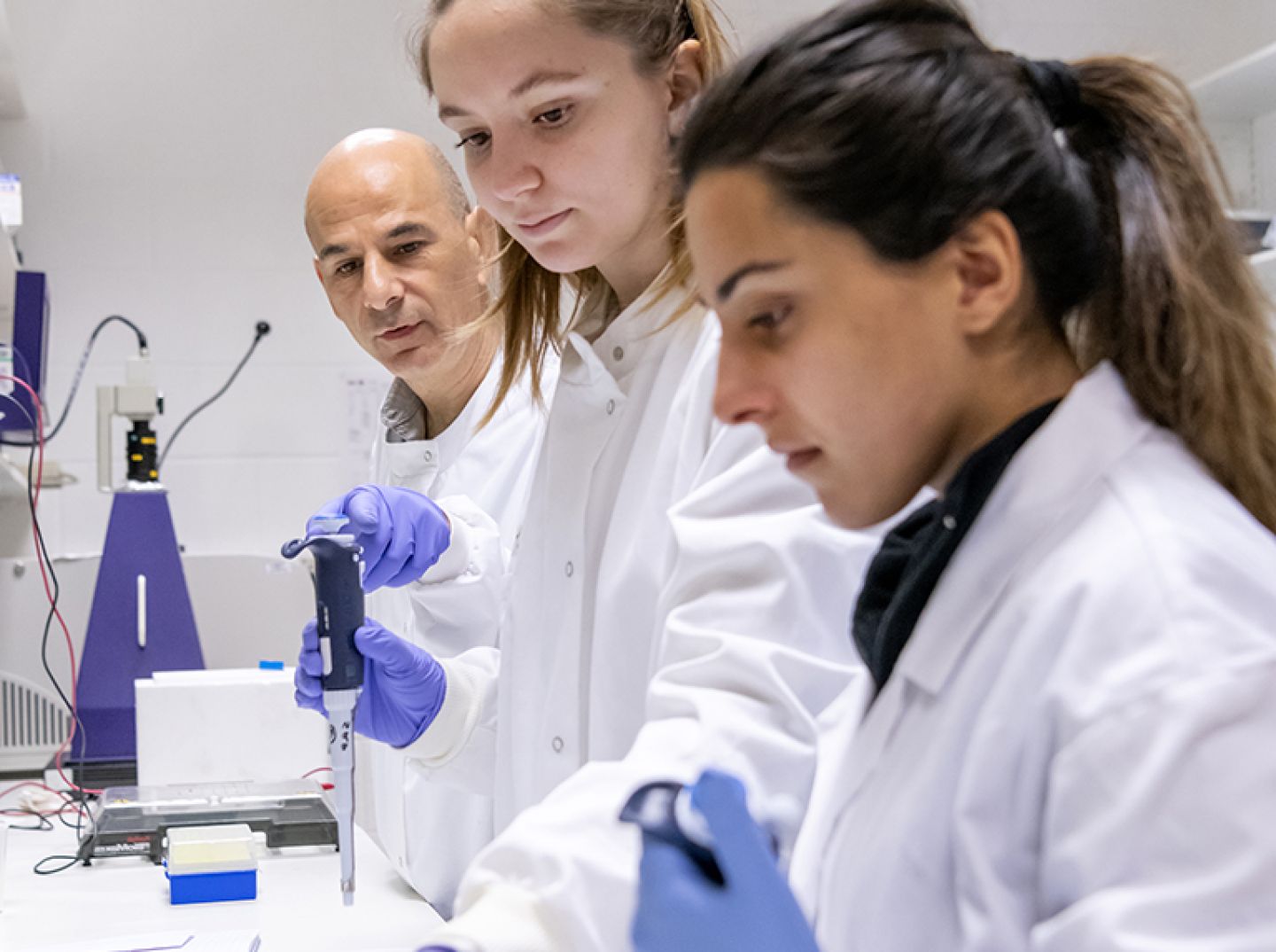 Three Biomedical Science students working in biomedical science laboratory